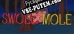 Русификатор на игру Swole Mole
