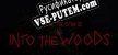 Русификатор The Home Into The Woods