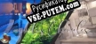 Русификатор для The Loopholes Chronicles