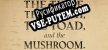 Русификатор на игру The Thief, the Witch, the Toad, and the Mushroom.