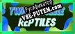 Twizzle Puzzle Reptiles русификатор озвучки + текст