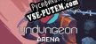 Undungeon Arena русификатор озвучки + текст