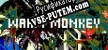 Warm Monkey русская озвучка + субтитры