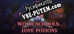 Русификатор для Witch Schools Love Potions
