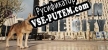Русификатор на игру WOLF IN THE CITY
