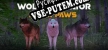 Wolf Simulator Silent Paws русская озвучка + субтитры