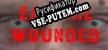 Wounded русская озвучка + субтитры
