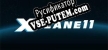 Русификатор X-Plane 11