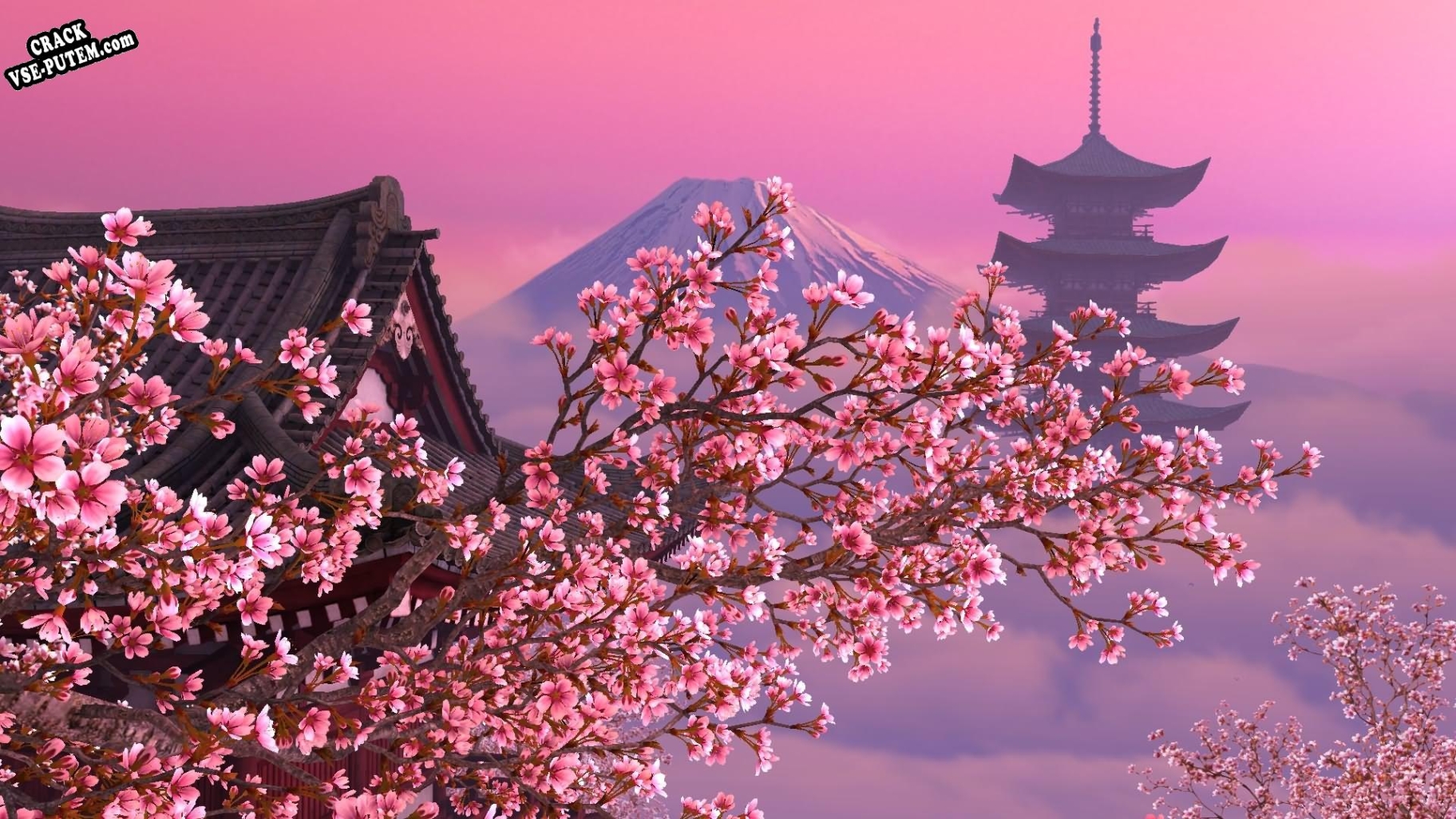 Ключ для Blooming Sakura 3D Screensaver