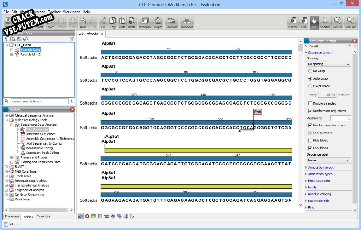 Активация программы CLC Genomics Workbench