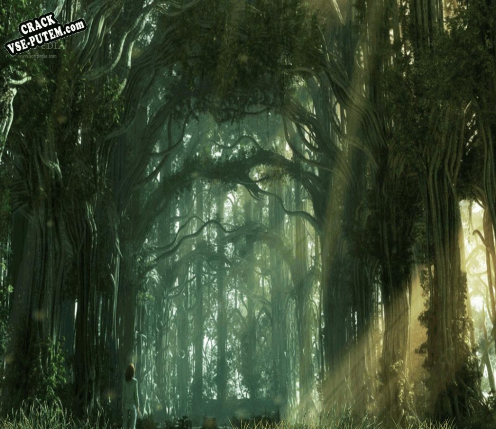 Активация программы Dark Forest Animated Wallpaper