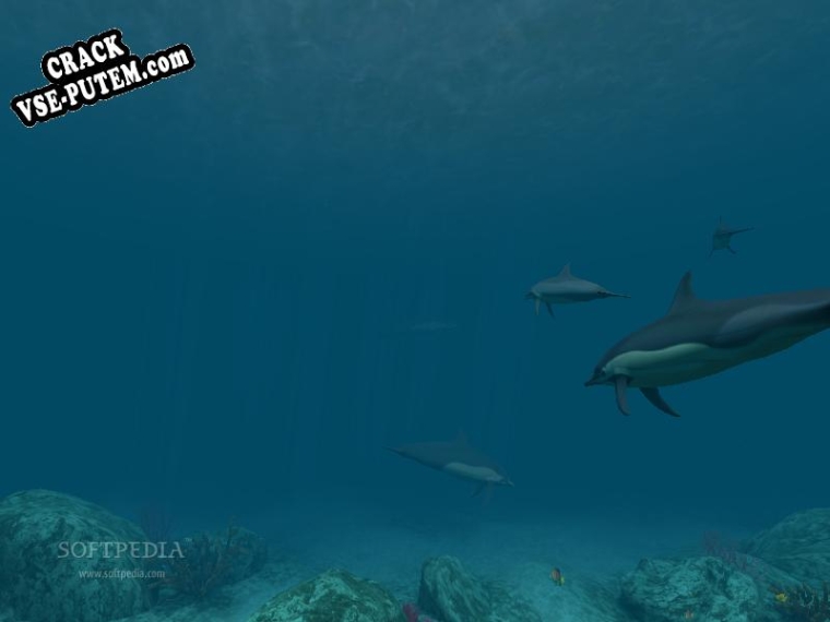 Dolphins 3D Screensaver и crack patch (взлом)