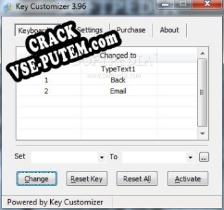 Key Customizer + crack/ключ