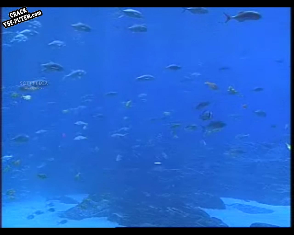 Взлом Live Aquariums Screen Saver