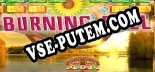 Burning Ball: Читы, Трейнер +5 [CheatHappens.com]