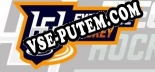 Executive Hockey: ТРЕЙНЕР И ЧИТЫ (V1.0.91)