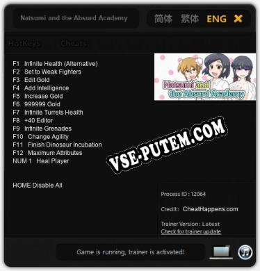 Natsumi and the Absurd Academy: Читы, Трейнер +13 [CheatHappens.com]