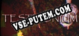 Трейнер для Testimonium [v1.0.1]