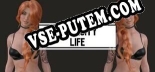 University Life Visual Novel: Трейнер +15 [v1.7]